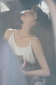 明星专题：陈键锋